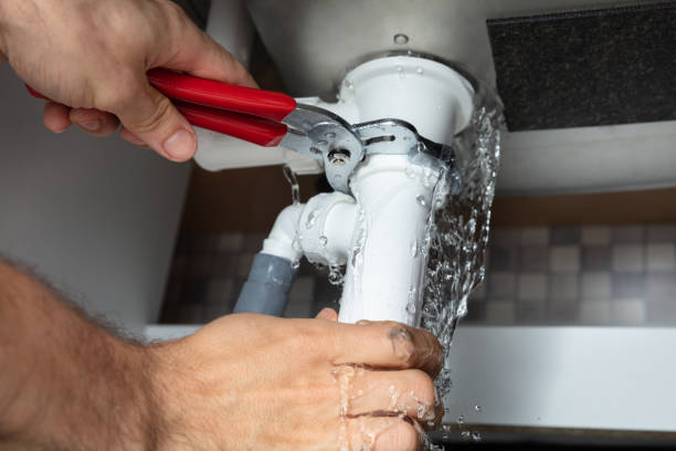Best Flooded house restoration  in The Meadows, FL