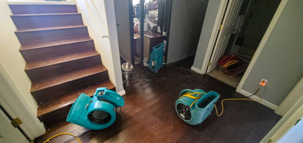 Best Water damage mitigation services  in The Meadows, FL