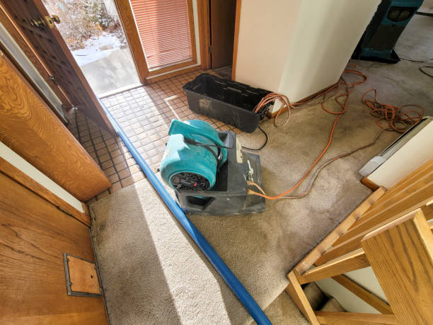 Best Sewage cleanup and water damage restoration  in The Meadows, FL
