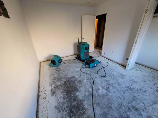Best Water damage cleanup near me  in The Meadows, FL