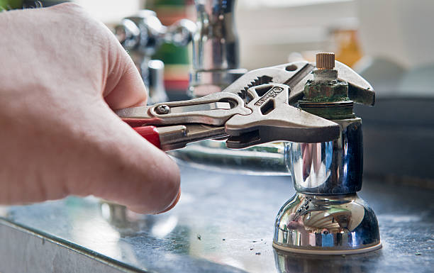 Best Local water damage restoration  in The Meadows, FL