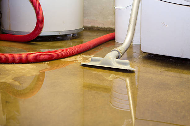 Best Water damage restoration near me  in The Meadows, FL
