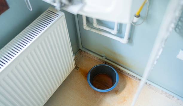 Best Water damage restoration company  in The Meadows, FL