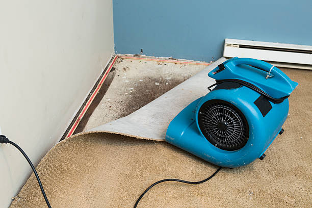  The Meadows, FL Water damage restoration Pros